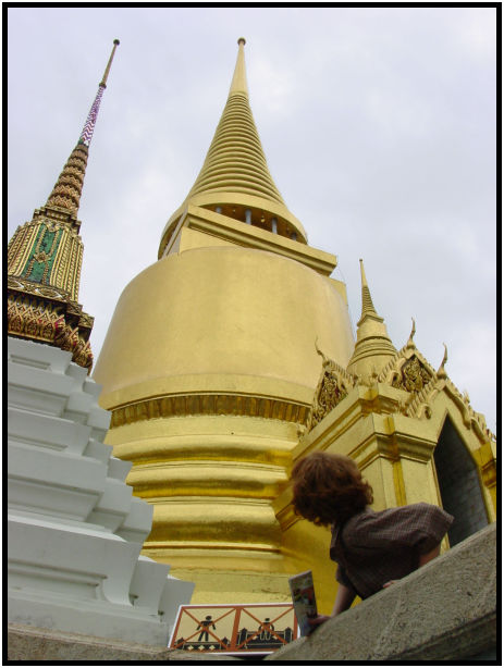 place: Thailand: Bangkok : s-dsc011141.jpg