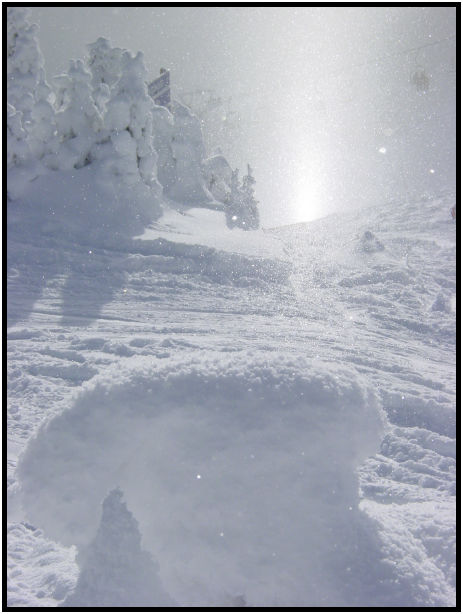 person: action: skiing : s-dsc018448.jpg