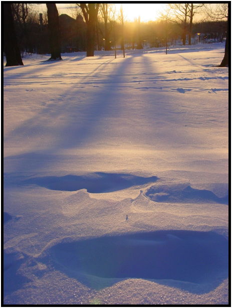 site: earth: snow : s-dsc021284.jpg