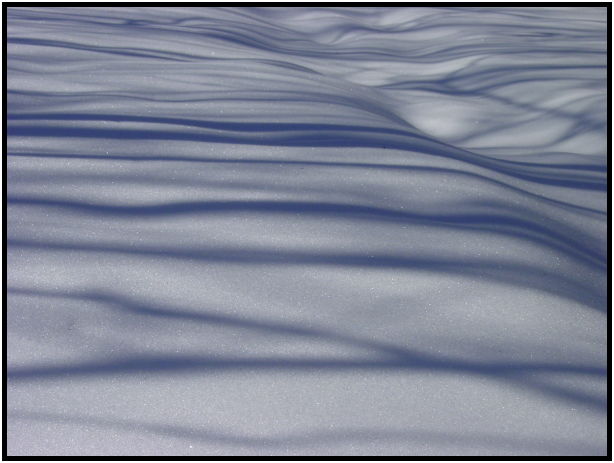 site: earth: snow : s-dsc021455.jpg