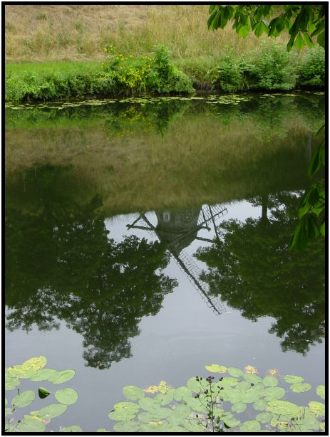 misc: reflection : s-dsc023546.jpg