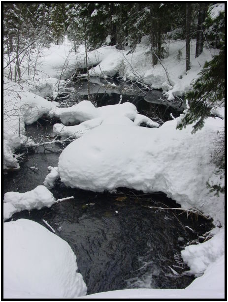 site: earth: snow : s-dsc024824.jpg