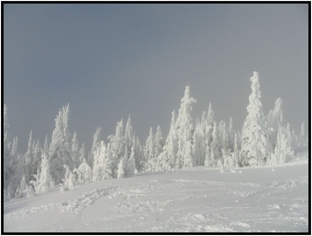 place: Canada: British Columbia: Vernon: Silver Star : s-img_4860.jpg
