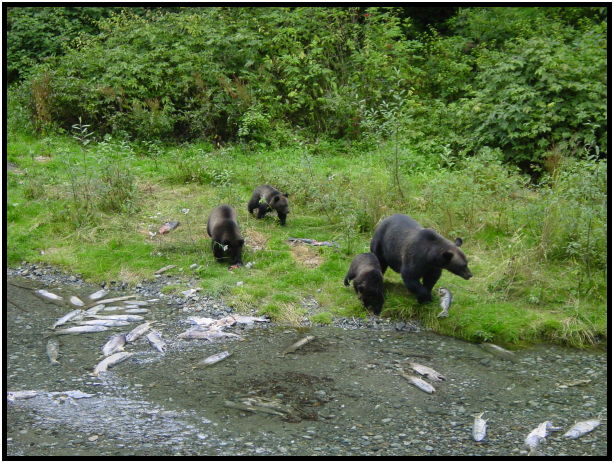 site: water: river : s-dsc026798.jpg