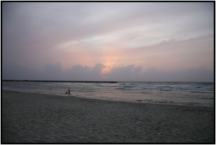 daycycle: sunset : s-IMG_2940.jpg