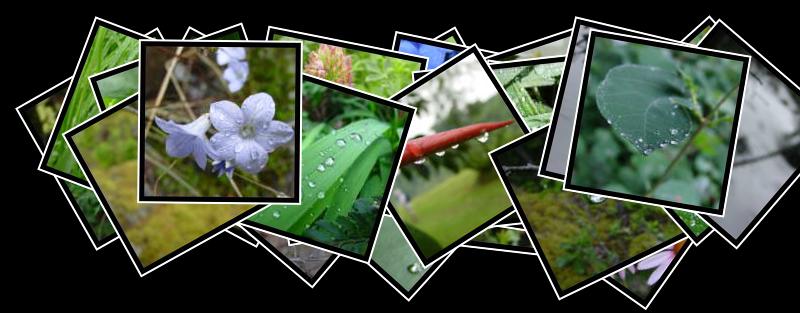 water droplet
