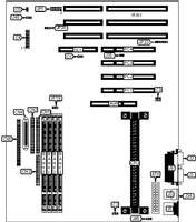 IWILL CORPORATION � PIILS