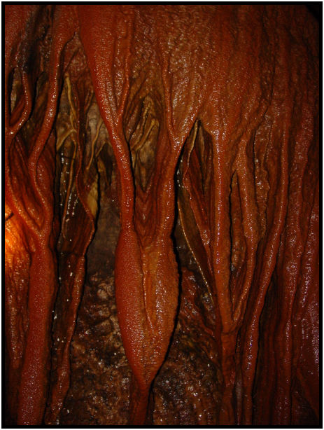 site: earth: stalactite : s-dsc011611.jpg