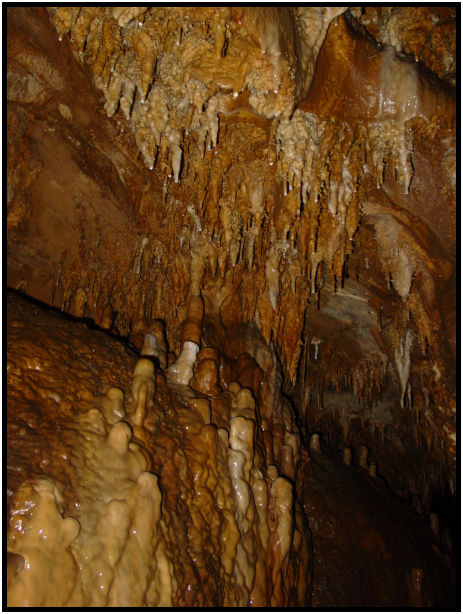 site: earth: stalactite : s-dsc011614.jpg