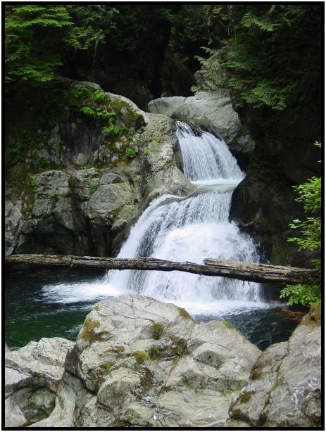 place: Canada: British Columbia: Vancouver: Lynn Valley : s-dsc016957.jpg