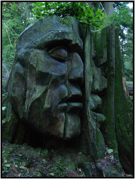 place: Canada: British Columbia: Vancouver: Stanley Park : s-dsc018291.jpg
