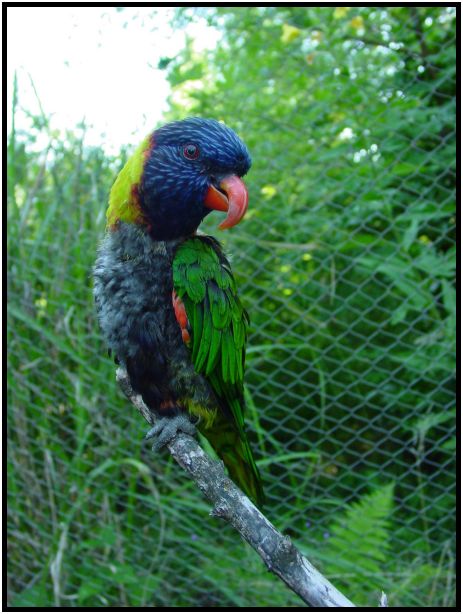 place: USA: Oregon: Portland: Portland Zoo : s-dsc017228.jpg