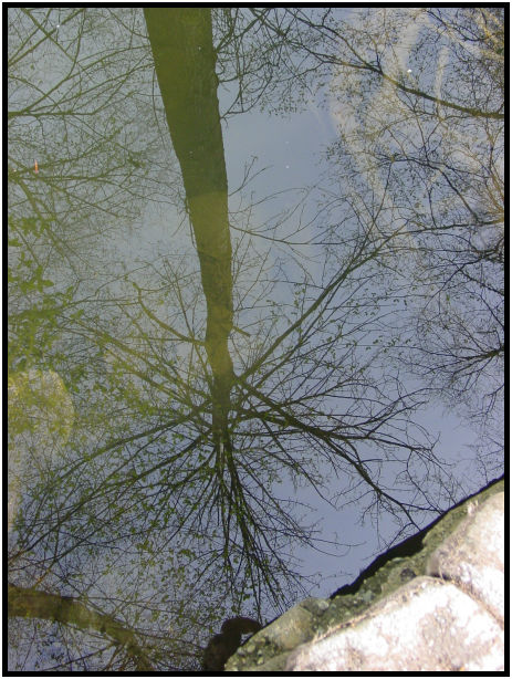 place: Canada: British Columbia: Vancouver: Burnaby Lake : s-dsc019537.jpg