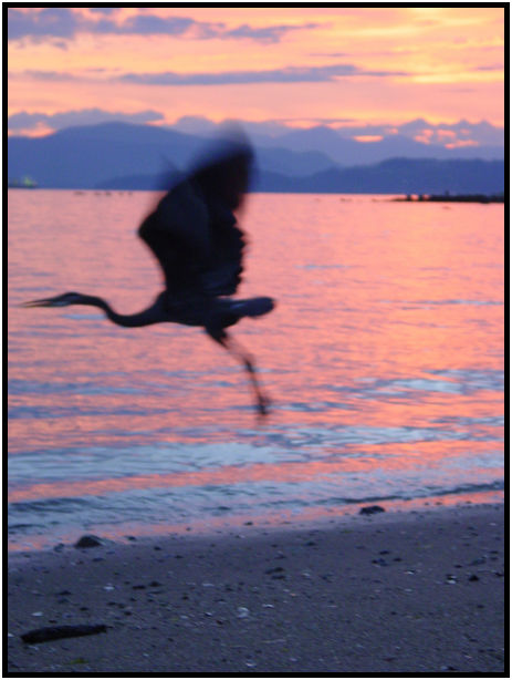 site: water: beach : s-dsc020026.jpg