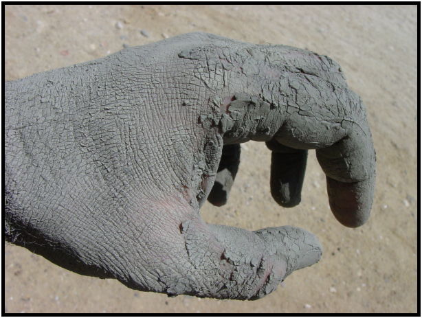 person: body: hand : s-dsc020308.jpg