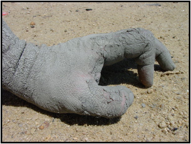 person: body: hand : s-dsc020311.jpg