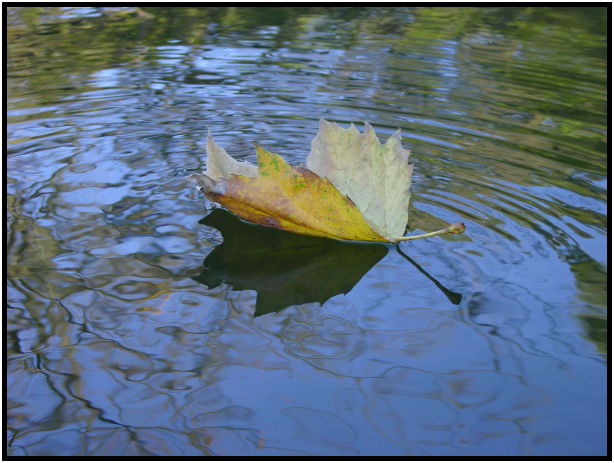 misc: reflection : s-dsc022642.jpg