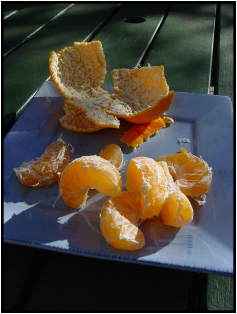 flora: fruit: mandarin : s-dsc022696.jpg