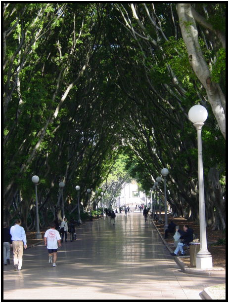 site: landscape: park : s-dsc022490.jpg