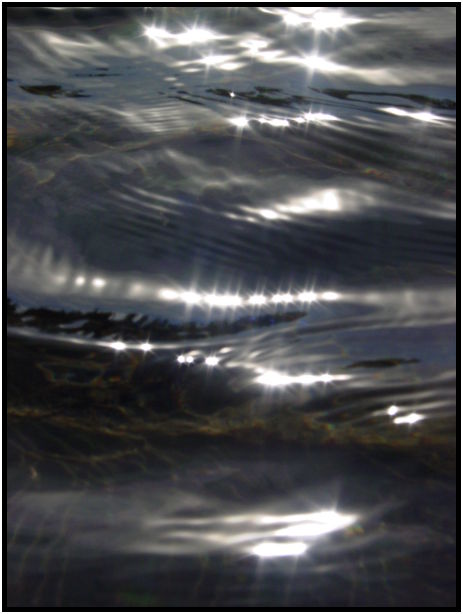 place: Canada: British Columbia: Elfin Lakes : s-dsc024194.jpg