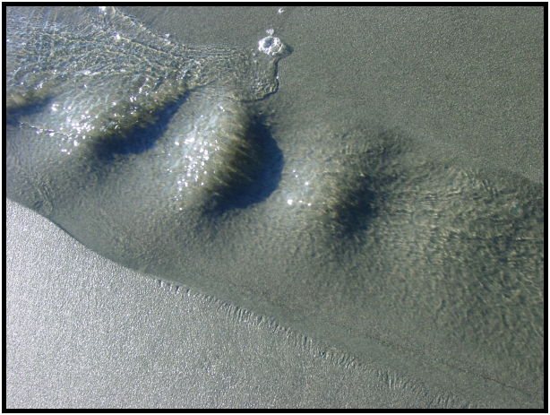 place: Canada: British Columbia: Vancouver Island: Juan de Fuca Marine Trail : s-dsc024474.jpg
