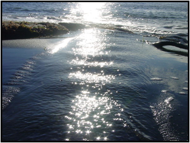 place: Canada: British Columbia: Vancouver Island: Juan de Fuca Marine Trail : s-dsc024477.jpg