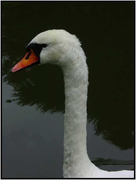 site: water: lake : s-dsc023712.jpg