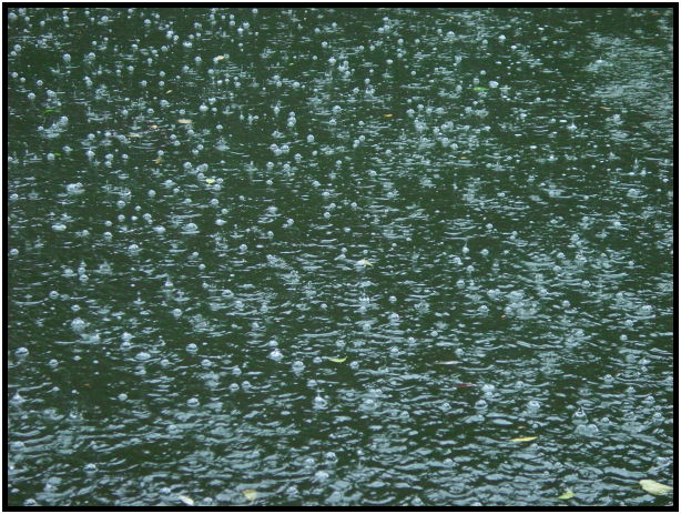 site: earth: rain : s-dsc023750.jpg