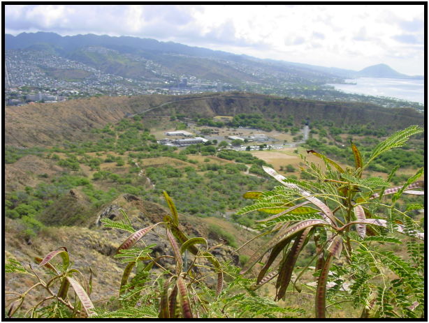 place: USA: Honolulu: Oahu Island : s-dsc022286.jpg