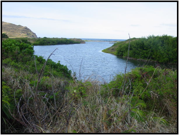 site: water: ocean : s-dsc022376.jpg