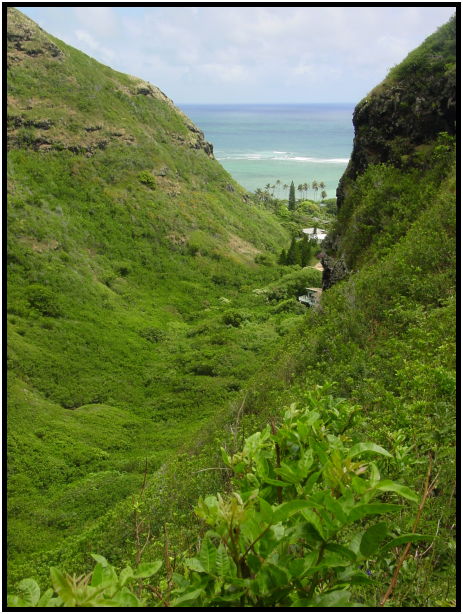 place: USA: Honolulu: Oahu Island : s-dsc022433.jpg