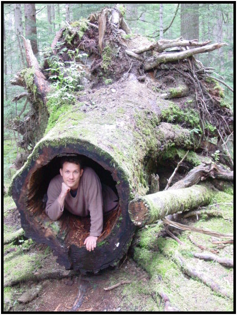 flora: tree: stump : s-dsc025526.jpg