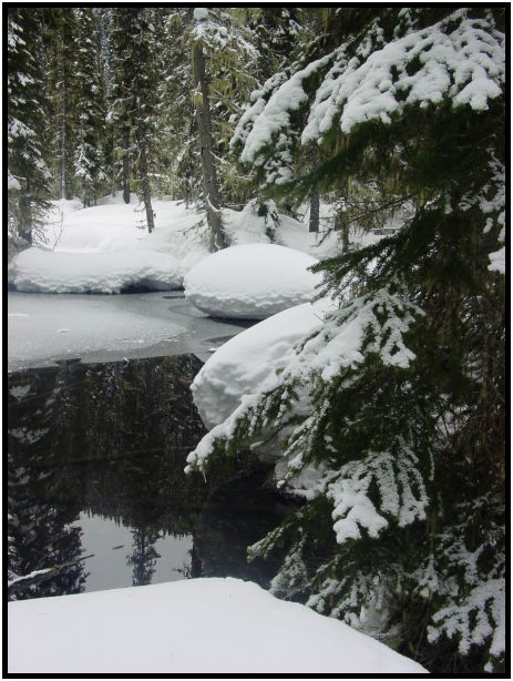 place: Canada: British Columbia: Manning Park: Manning Park X-country Skiing : s-dsc024847.jpg