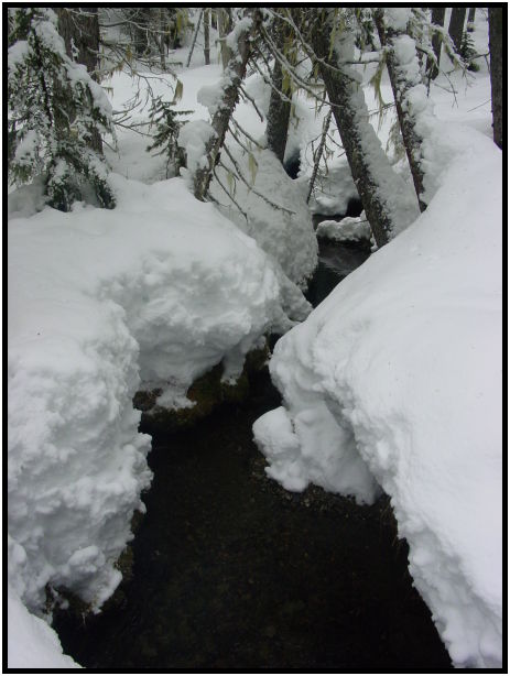 place: Canada: British Columbia: Manning Park: Manning Park X-country Skiing : s-dsc024850.jpg