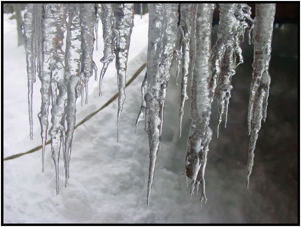 site: earth: icicle : s-dsc024880.jpg