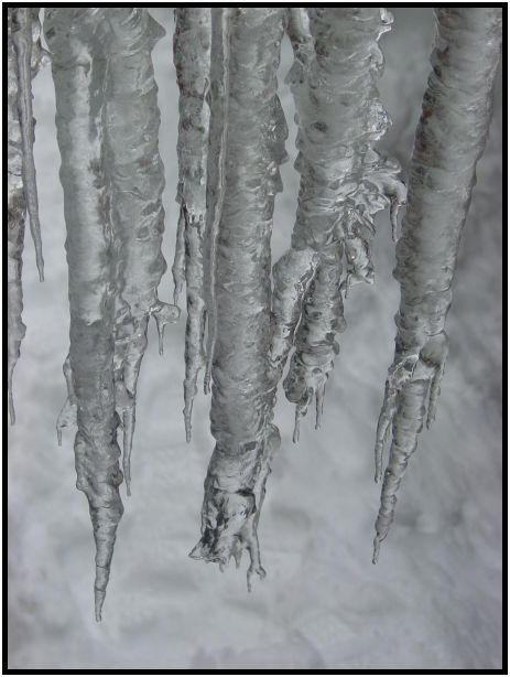site: earth: icicle : s-dsc024882.jpg