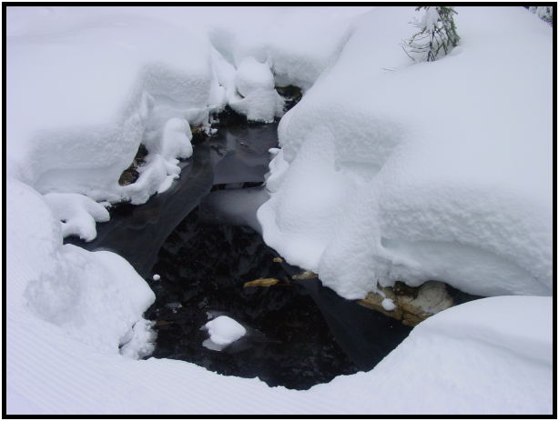 site: water: stream : s-dsc024599.jpg
