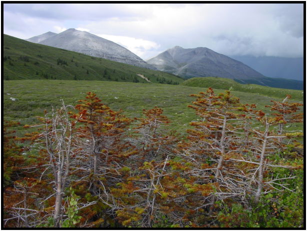 site: landscape: mountain : s-dsc025970.jpg