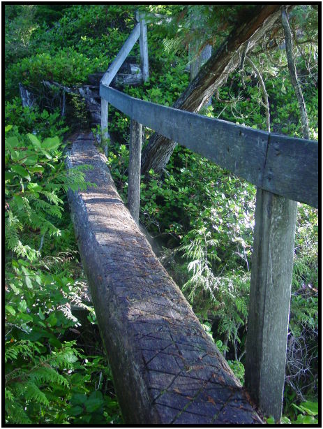 place: Canada: British Columbia: Vancouver Island: Juan de Fuca Marine Trail : s-dsc07086.jpg