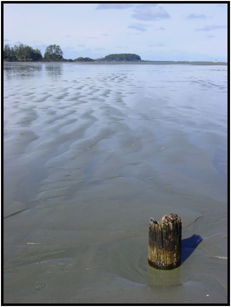 place: Canada: British Columbia: Vancouver Island: Tofino : s-dsc025141.jpg