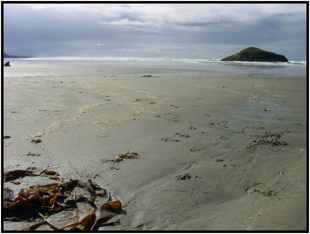 place: Canada: British Columbia: Vancouver Island: Tofino : s-dsc025247.jpg