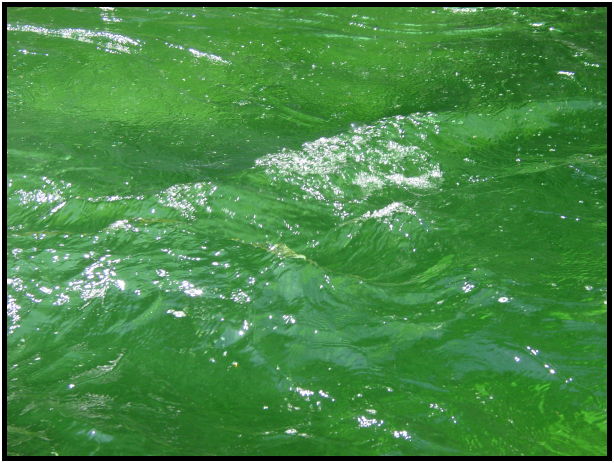 site: water: river : s-dsc025636.jpg