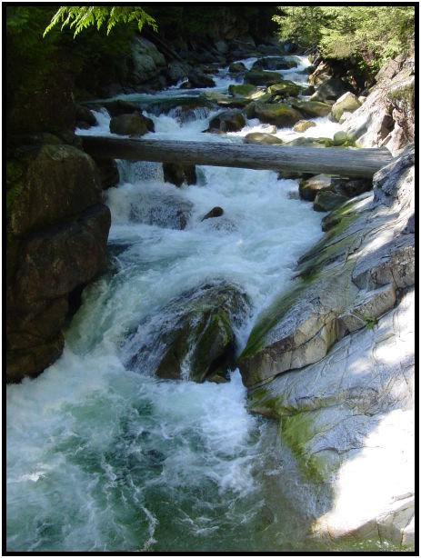 place: Canada: British Columbia: Gold Creek : s-dsc025639.jpg