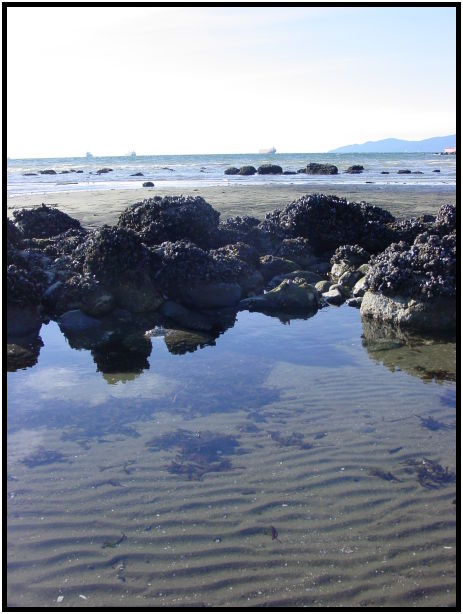 site: earth: sand : s-dsc024691.jpg