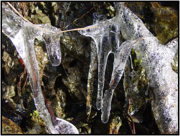site: earth: icicle : s-dsc024713.jpg