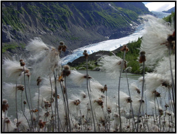 site: earth: glacier : s-dsc026889.jpg