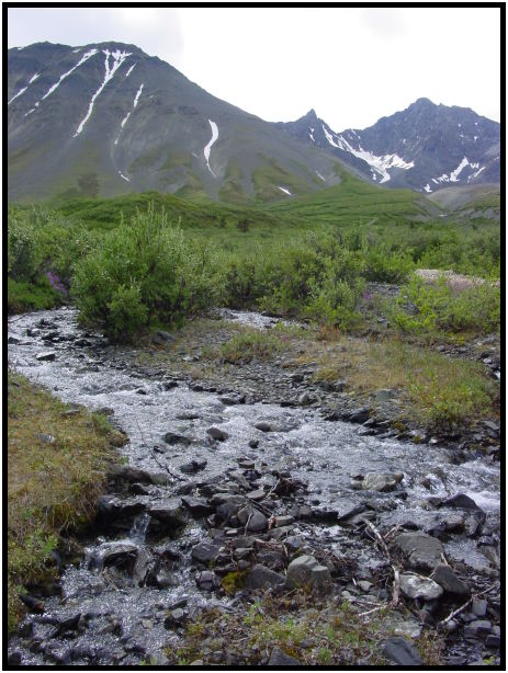 site: landscape: mountain : s-dsc026292.jpg