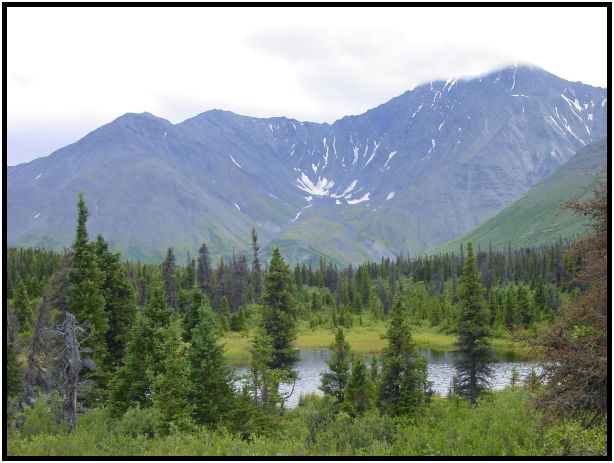 place: Canada: Yukon: Kluane National Park : s-dsc026315.jpg