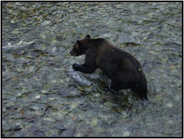 site: water: river : s-dsc026802.jpg