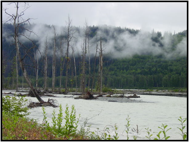 place: USA: Alaska: Haines : s-dsc026318.jpg